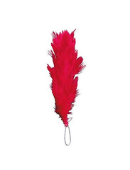 NCC HACKLE NATIONAL CADET CORPS HANGINGS RED UNISEX