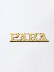 PARA REGIMENT SHOULDER TITLE BADGE (BRASS)